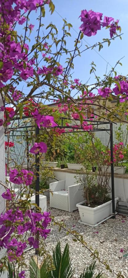La Villa Degli Dei - Guest House Кастелламмаре-ди-Стабия Экстерьер фото